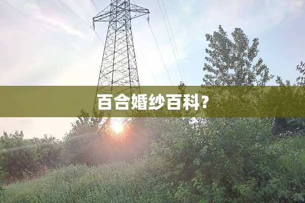 百合婚纱百科？