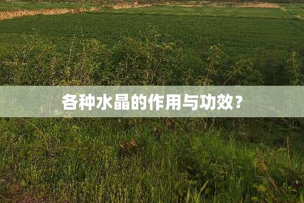 各种水晶的作用与功效？