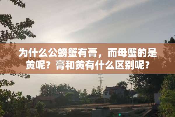 为什么公螃蟹有膏，而母蟹的是黄呢？膏和黄有什么区别呢？