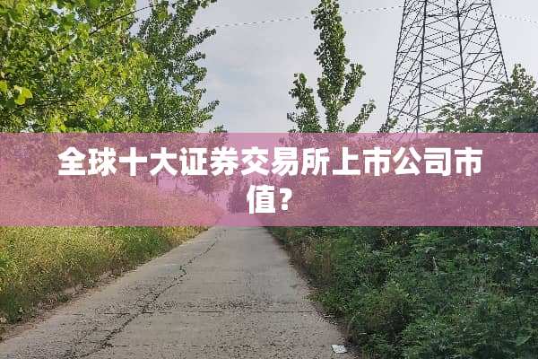 全球十大证券交易所上市公司市值？