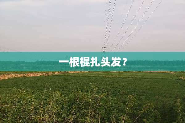 一根棍扎头发？
