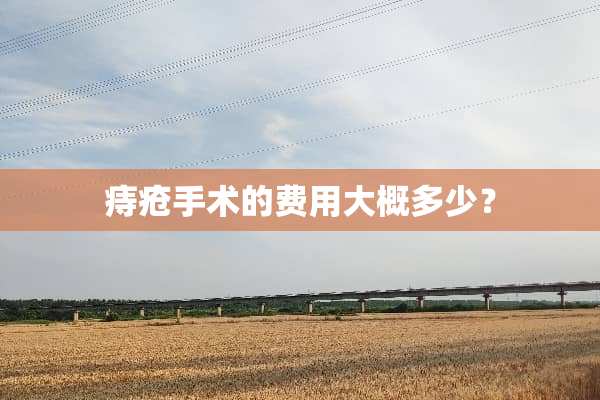 痔疮手术的费用大概多少？