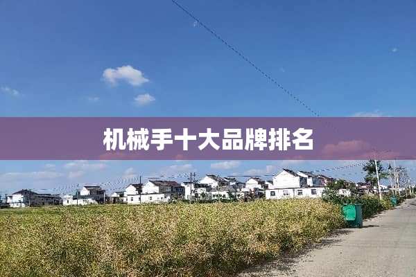 机械手十大品牌排名