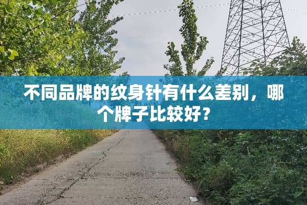 不同品牌的纹身针有什么差别，哪个牌子比较好？