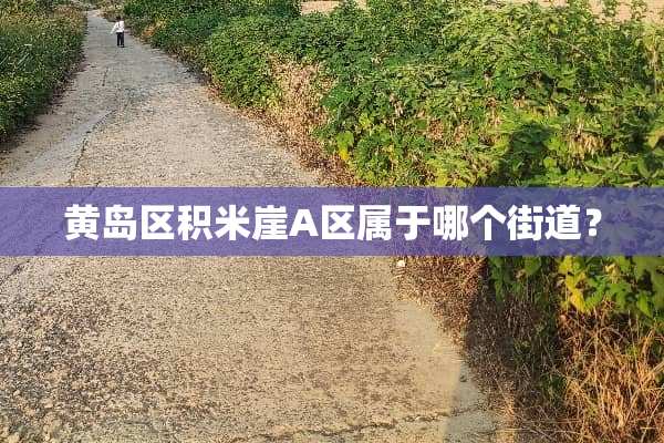 黄岛区积米崖A区属于哪个街道？