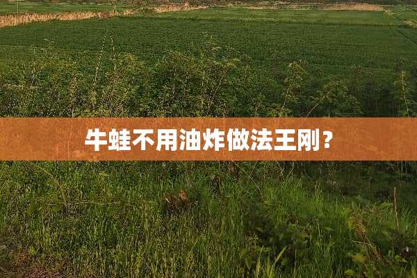 牛蛙不用油炸做法**？