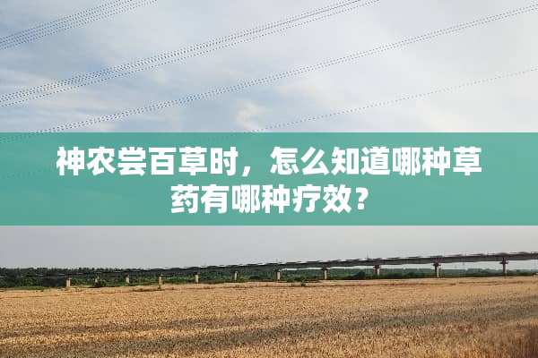 神农尝百草时，怎么知道哪种草药有哪种疗效？