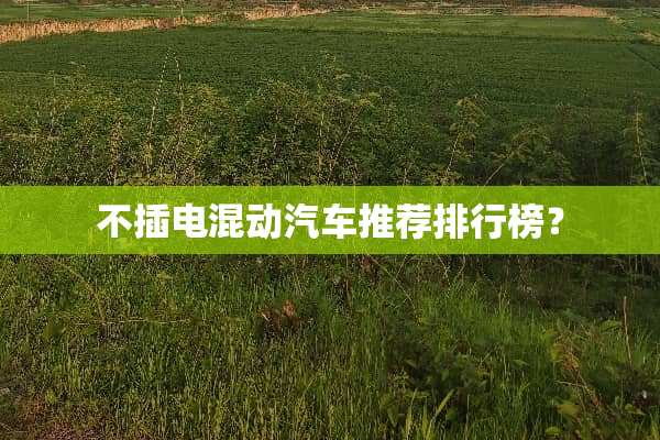 不插电混动汽车推荐排行榜？