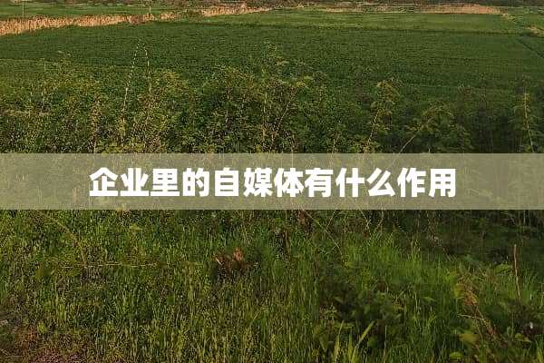 企业里的自媒体有什么作用