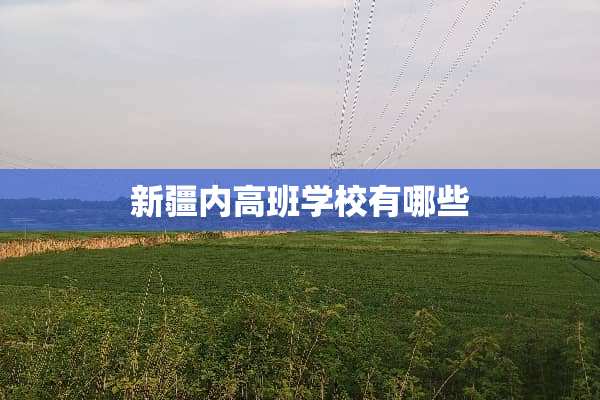 新疆内高班学校有哪些