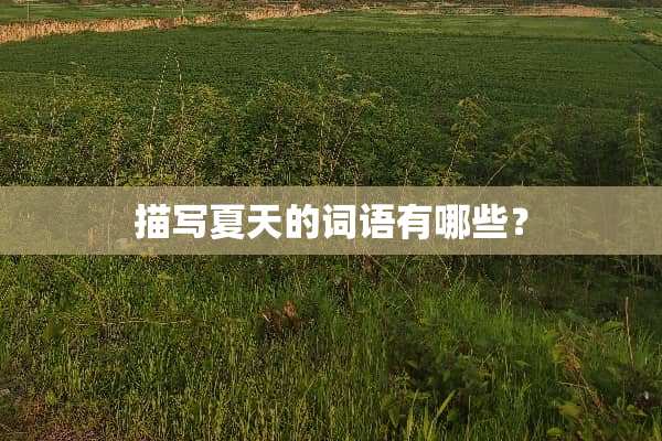 描写夏天的词语有哪些？