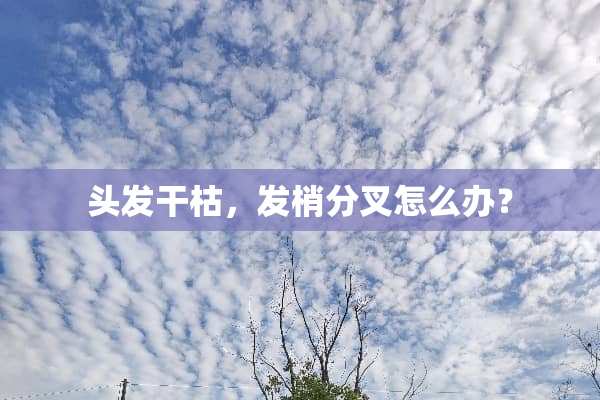 头发干枯，发梢分叉怎么办？