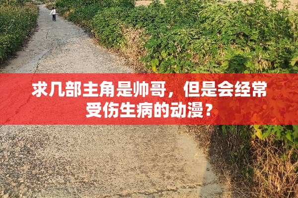 求几部主角是帅哥，但是会经常受伤生病的动漫？