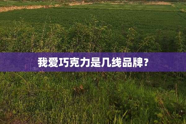 我爱巧克力是几线品牌？