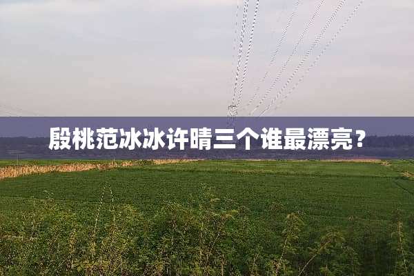 殷桃范冰冰许晴三个谁最漂亮？