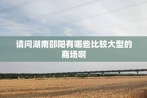 请问湖南邵阳有哪些比较大型的商场啊