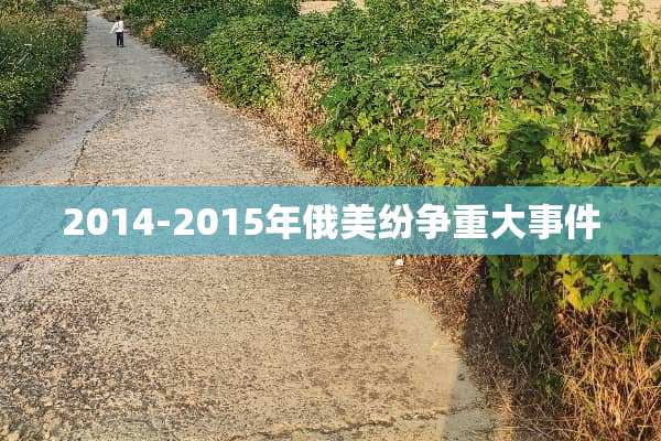 2014-2015年俄美纷争重大事件