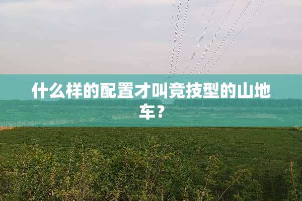 什么样的配置才叫竞技型的山地车？