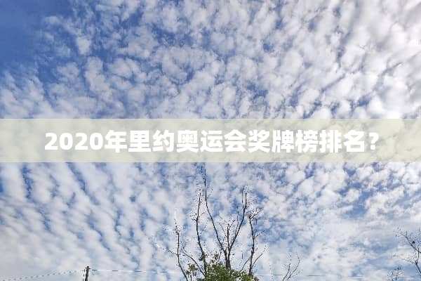 2020年里约奥运会奖牌榜排名？