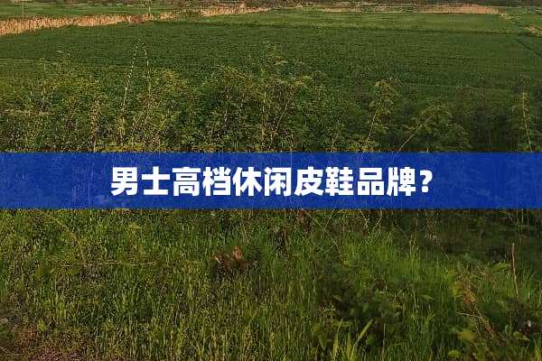 男士高档休闲皮鞋品牌？