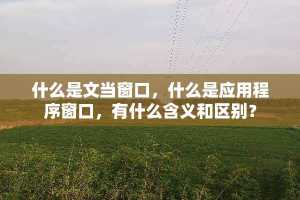 什么是文当窗口，什么是应用程序窗口，有什么含义和区别？