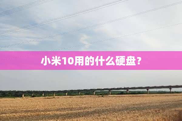 小米10用的什么硬盘？