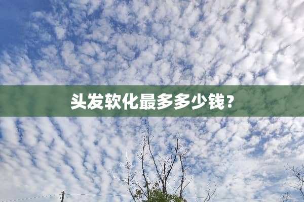 头发软化最多多少钱？