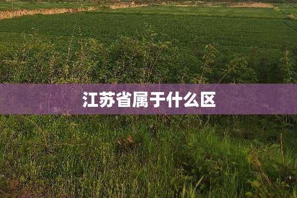 江苏省属于什么区