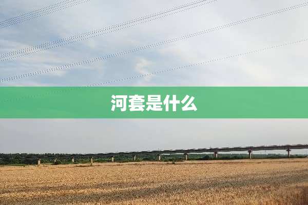 河套是什么