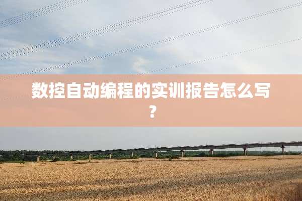 数控自动编程的实训报告怎么写？
