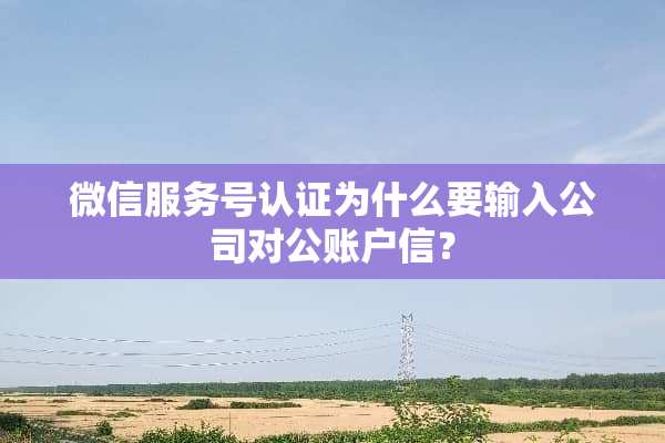 微信服务号认证为什么要输入公司对公账户信？