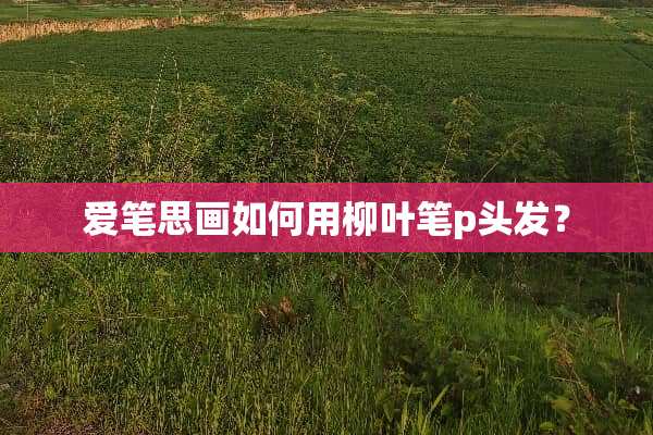 爱笔思画如何用柳叶笔p头发？