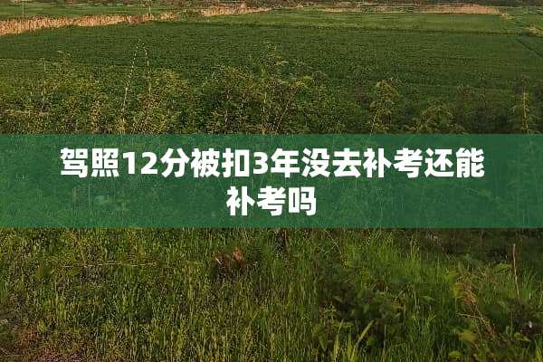 驾照12分被扣3年没去补考还能补考吗