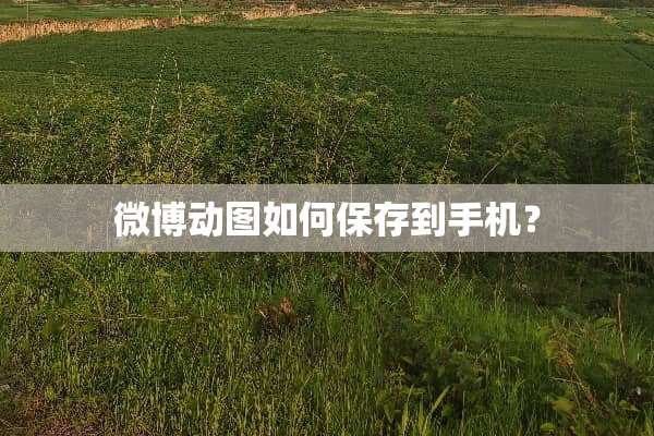 微博动图如何保存到手机？