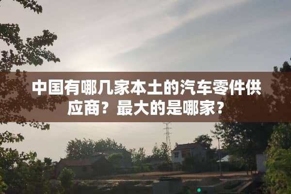 中国有哪几家本土的汽车零件供应商？最大的是哪家？