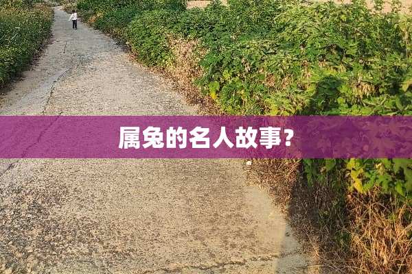 属兔的名人故事？