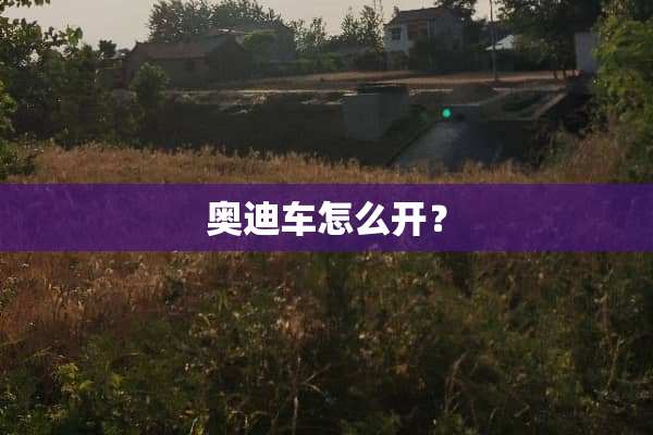 奥迪车怎么开？