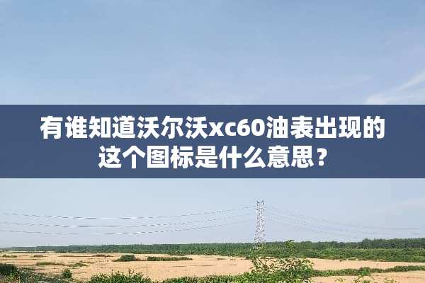 有谁知道沃尔沃xc60油表出现的这个图标是什么意思？