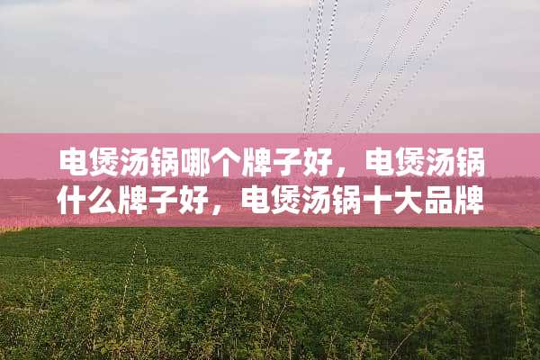 电煲汤锅哪个牌子好，电煲汤锅什么牌子好，电煲汤锅十大品牌排名