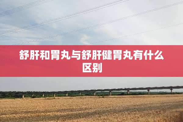 舒肝和胃丸与舒肝健胃丸有什么区别