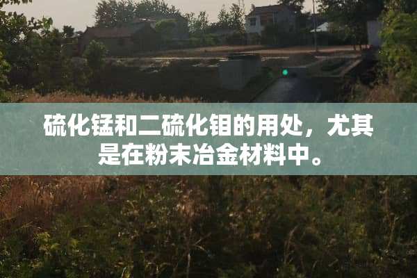 硫化锰和二硫化钼的用处，尤其是在粉末冶金材料中。