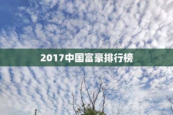 2017中国富豪排行榜