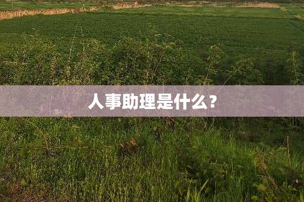 人事助理是什么？