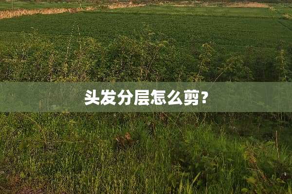 头发分层怎么剪？