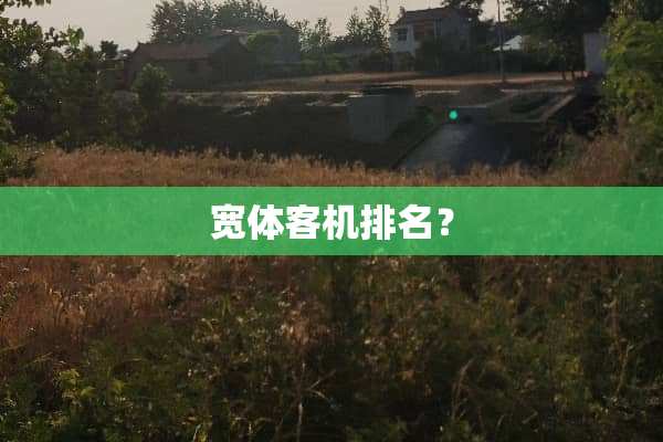 宽体客机排名？