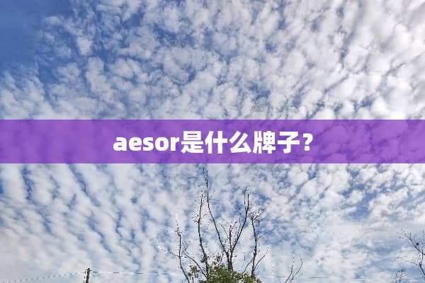 aesor是什么牌子？