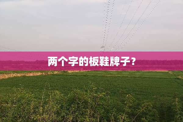 两个字的板鞋牌子？