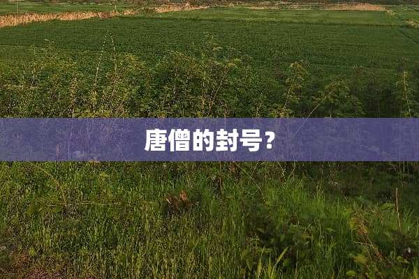 唐僧的封号？