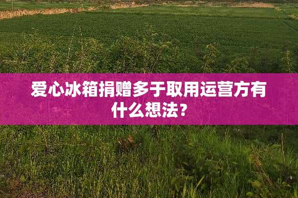爱心冰箱捐赠多于取用运营方有什么想法？