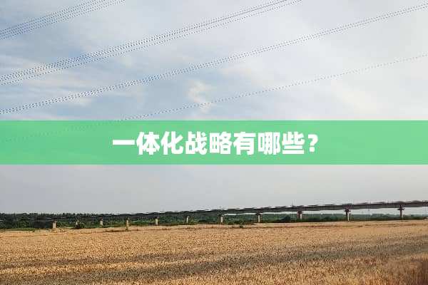 一体化战略有哪些？